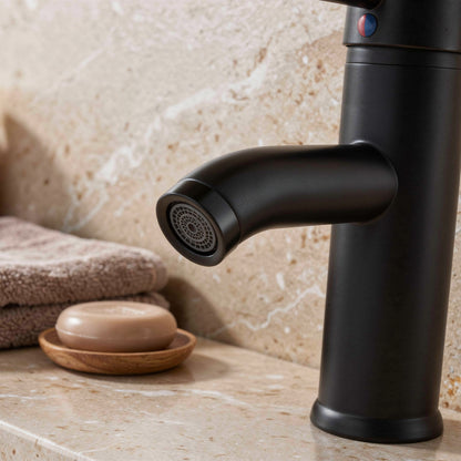 Matte Black Stainless Faucet